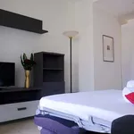 Rent 2 bedroom apartment of 40 m² in Milan