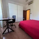 Rent 3 bedroom apartment of 76 m² in Bologna