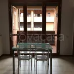 Rent 3 bedroom apartment of 62 m² in Bologna