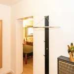 Rent 1 bedroom apartment in Bonn