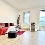 Rent 1 bedroom apartment of 44 m² in Brno