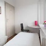 Rent a room in lodz