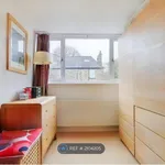 Rent 3 bedroom house in Sheffield