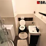 Pronajměte si 2 ložnic/e byt o rozloze 35 m² v Brno