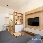 Pronajměte si 2 ložnic/e byt o rozloze 40 m² v Prague