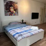 Rent 1 bedroom apartment of 38 m² in Bonn