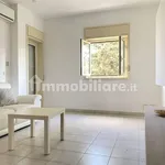 Apartment good condition, Scordia