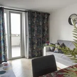 Rent 1 bedroom apartment in rome