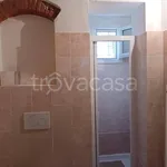 Rent 3 bedroom apartment of 70 m² in Pisa