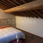 Rent 4 bedroom apartment of 70 m² in Lucca