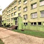 Rent 3 bedroom apartment of 80 m² in Městec Králové