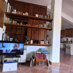 Rent 2 bedroom apartment of 63 m² in Roma