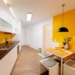 Rent 3 bedroom apartment in Berlin