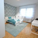 Rent 3 bedroom apartment of 65 m² in Debrecen