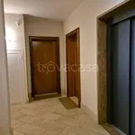 Rent 2 bedroom apartment of 84 m² in Roma