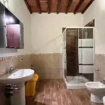 Rent 2 bedroom apartment of 50 m² in Borgo San Lorenzo