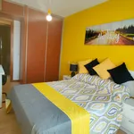 Alquilar 5 dormitorio apartamento en Madrid