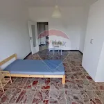 Rent 4 bedroom apartment of 110 m² in Torino