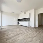 Rent 1 bedroom apartment in Brno