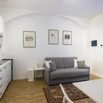 Rent 1 bedroom apartment of 40 m² in Torino