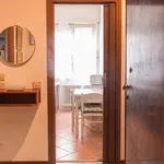 Rent 1 bedroom apartment in Milan