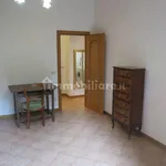 Rent 4 bedroom apartment of 90 m² in Bologna