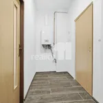 Rent 2 bedroom apartment of 60 m² in Kouřim