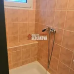 Rent 1 bedroom apartment in Děčín