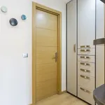 Studio of 431 m² in Madrid