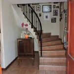 Rent 4 bedroom house in Pretoria