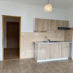 Rent 1 bedroom apartment of 22 m² in Teplice