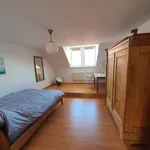 Rent 3 bedroom apartment of 76 m² in Zittau