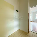 Rent 3 bedroom apartment in Cheb