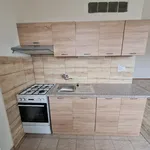 Rent 1 bedroom apartment in Most