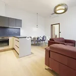 Rent 2 bedroom apartment of 45 m² in Brno