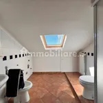 Rent 2 bedroom apartment of 45 m² in Turin