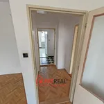 Rent 4 bedroom apartment of 75 m² in Brno