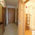 Rent 1 bedroom apartment of 33 m² in Praha