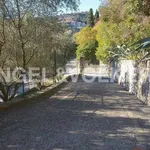 Rent 8 bedroom apartment of 240 m² in Rapallo