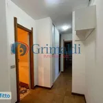 Affitto 2 camera appartamento di 60 m² in Palermo