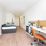 Rent 1 bedroom apartment in Chester