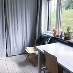 Rent 1 rooms apartment of 24 m², in Borås