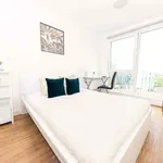 Rent 1 bedroom apartment in Liverpool