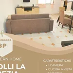 Rent 3 bedroom apartment of 55 m² in La Spezia