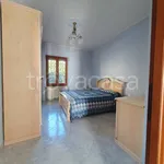 Rent 3 bedroom apartment of 75 m² in Collegno