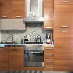 Rent 2 bedroom apartment of 55 m² in Pomezia