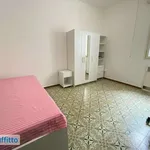 Rent 3 bedroom apartment of 80 m² in Bologna