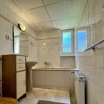 Rent 1 bedroom apartment of 42 m² in Ústí nad Labem