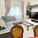 Rent 3 bedroom apartment of 100 m² in Rome