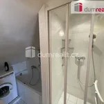 Rent 1 bedroom apartment of 98 m² in Prague